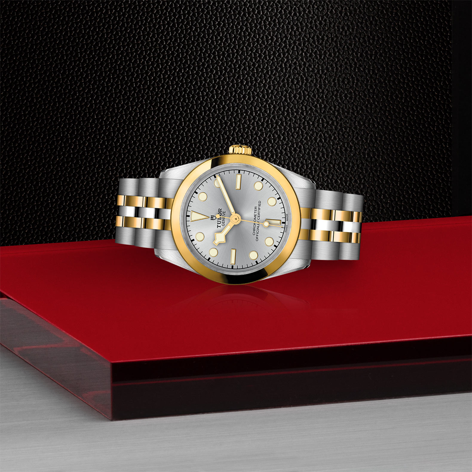 TUDOR Black Bay 31 S&G - M79603-0002