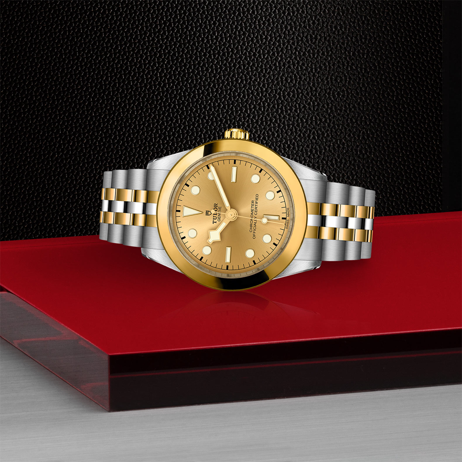 TUDOR Black Bay 39 S&G - M79663-0005